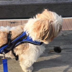 Meet your Posher, Cata